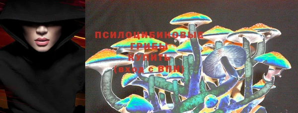 эйфоретик Баксан