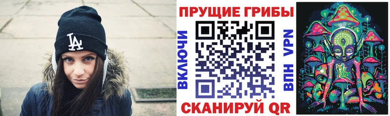Псилоцибиновые грибы Psilocybe  Радужный 